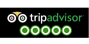 Hotels Reviews Scraper for Tripadvisor
